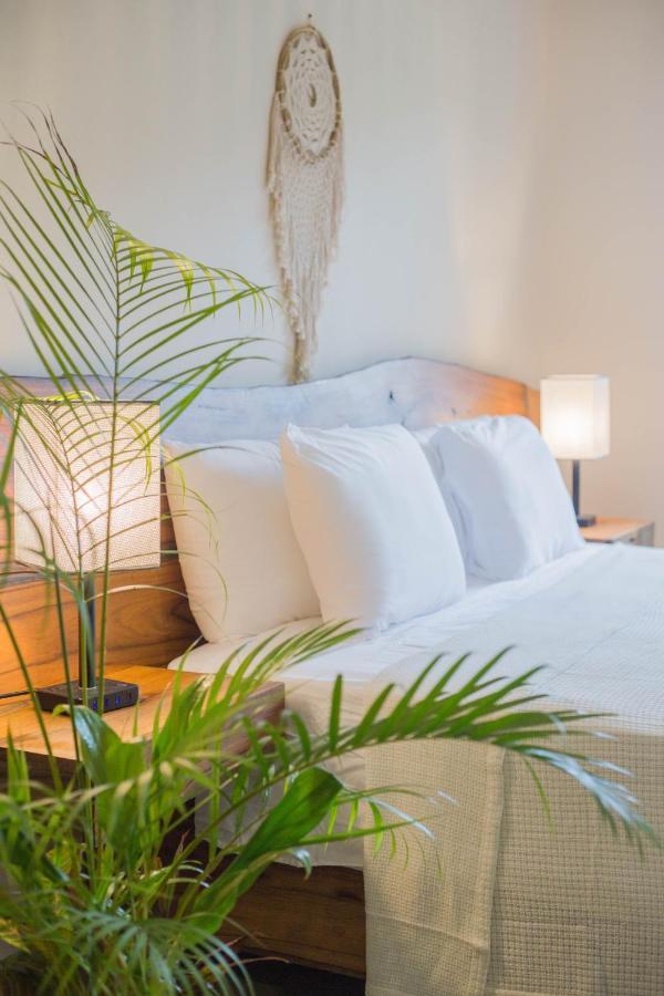 Maculan Hotel Valladolid  Kültér fotó